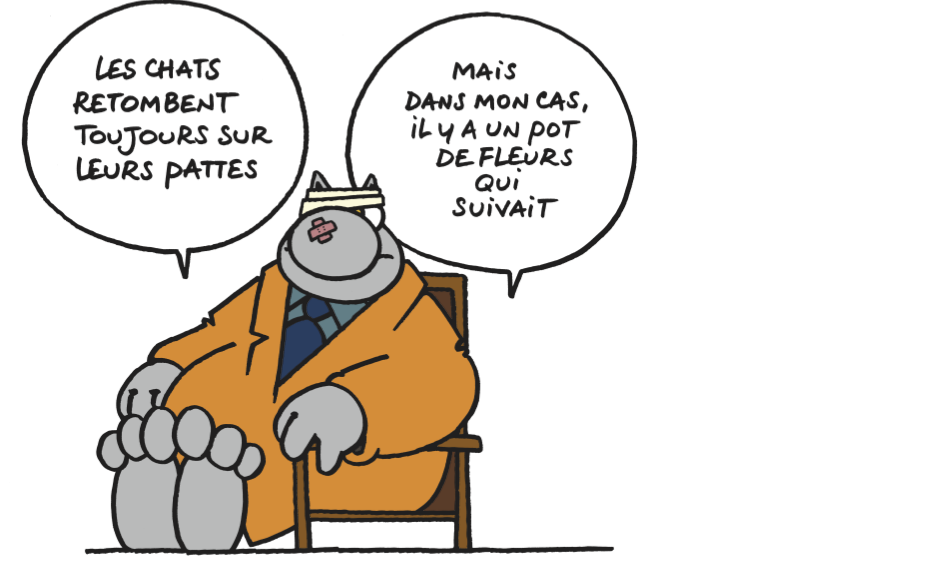 Le chat blague fauteuil