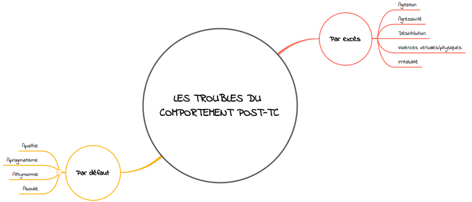 troubles-comportement-post-trauma-cranien